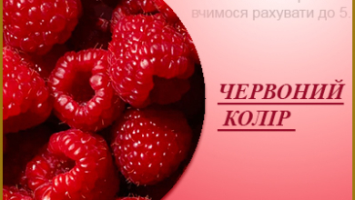 Червоний колір. Вивчаємо кольори та вчимося рахувати до 5.
