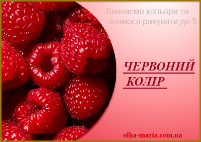 Червоний колір. Вивчаємо кольори та вчимося рахувати до 5.