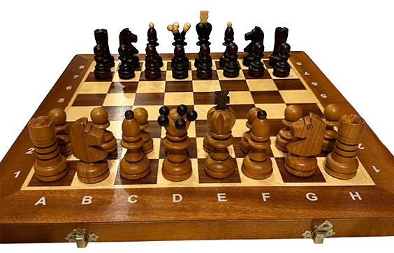 Початкова позиція фігур на шаховій дощці 