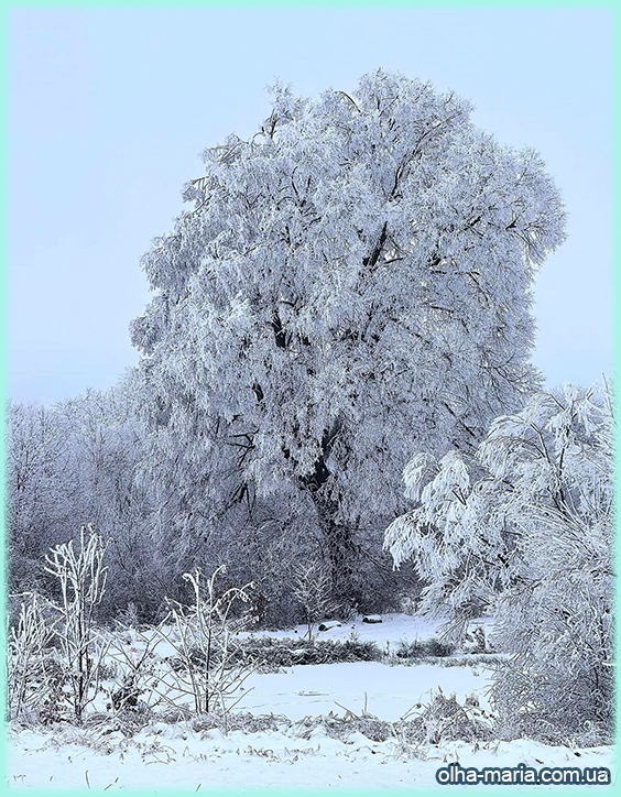 Ідеальне фото грудня