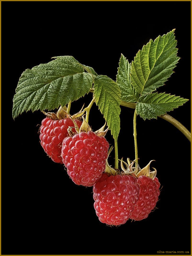 Червоний. Які продукти червоного кольору ви знаєте?