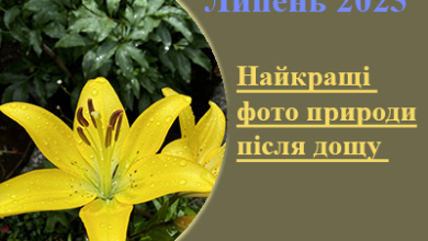 Найкращі фото природи України (фотографії, зображення, картинки)