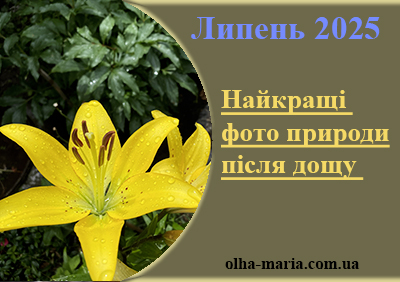 Найкращі фото природи України (фотографії, зображення, картинки)
