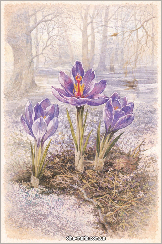 Весняна поезія Перші квіти весни. Рання весна картинки. Пори року