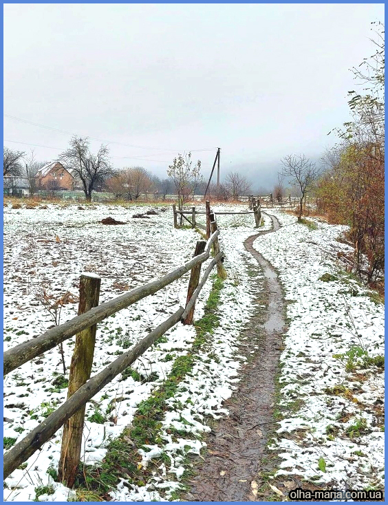 Після невеличкого снігопаду (ФОТО)