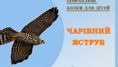 Повчальні казки для дітей читати онлайн