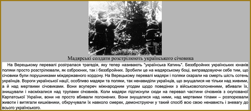 Розстріл українських січовиків. Зі статті "Наддніпрянський погляд на розстріляне Закарпаття" Дениса Ковальова