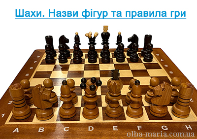 Шахи. Назви фігур. Правила гри в шахи для дітей та дорослих