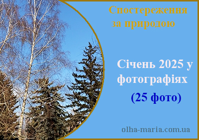 Січень 2025 року. Спостереження за природою / 25 фото