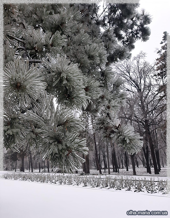 зимовий день фото