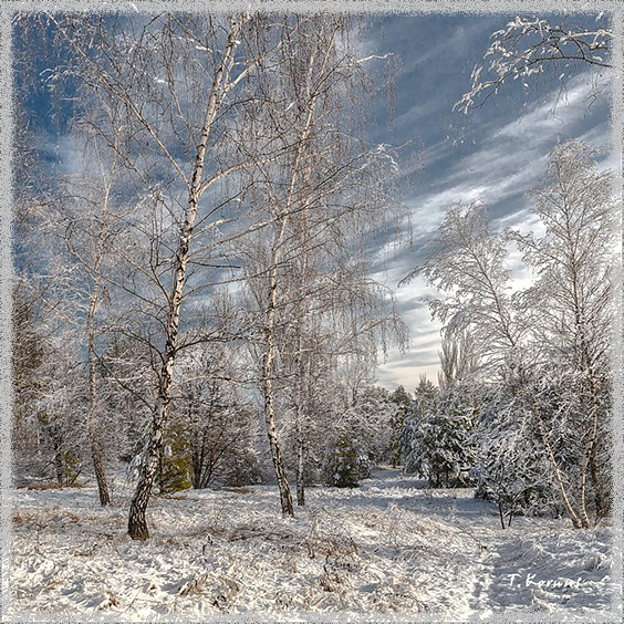 Зимовий пейзаж. Найкращі фотографії