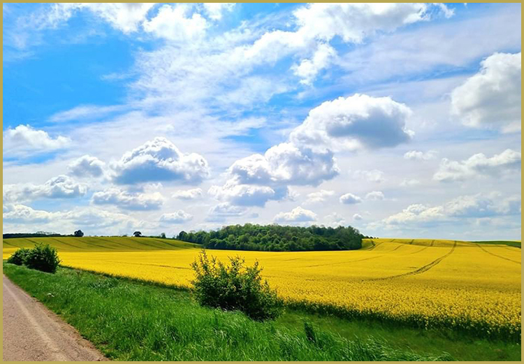 Весна в Україні фото