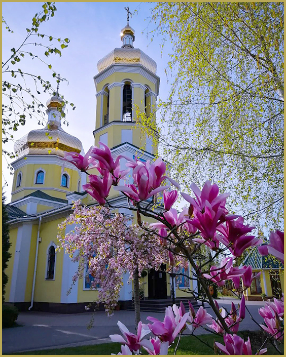 Церква Покрови Пресвятої Богородиці навесні фото