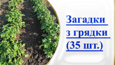 Загадки з відгадками (35 шт)
