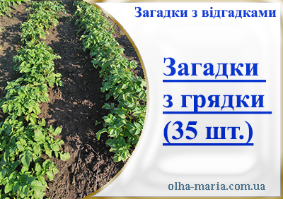 Загадки з відгадками (35 шт)